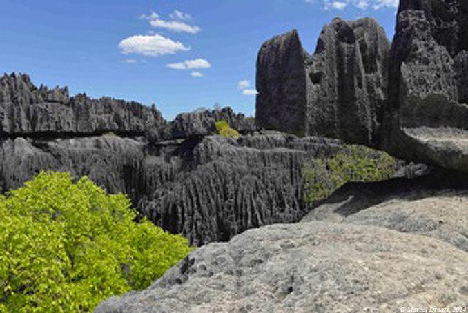 Les tsingy de Bemaraha, Madagascar Les tsingy de Bemaraha, Madagascar