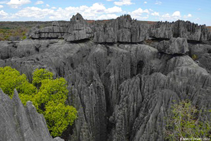 Les tsingy de Bemaraha, Madagascar Les tsingy de Bemaraha, Madagascar