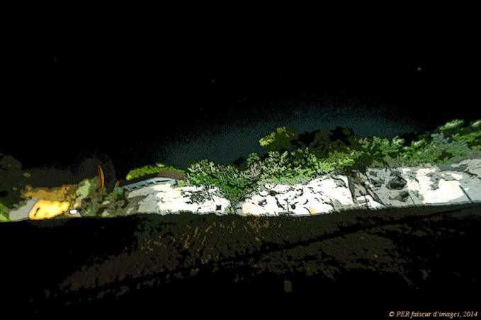 Le Petit Rapporteur Le Petit Rapporteur