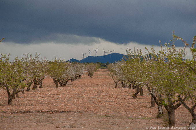La Hoya de Guadix, Espagne La Hoya de Guadix, Espagne