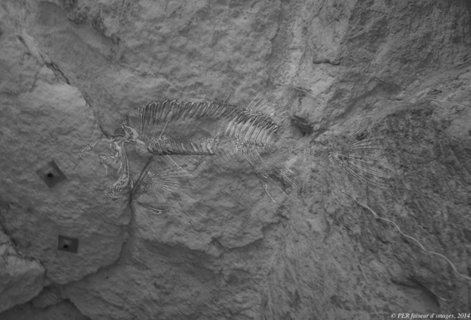 Le Scoop du premier avril Le Scoop du premier avril