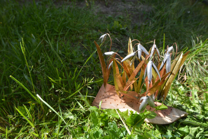 André Petit, homme de Loire André Petit, homme de Loire