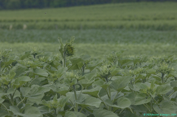 Le CTATP relève la tête Le CTATP relève la tête