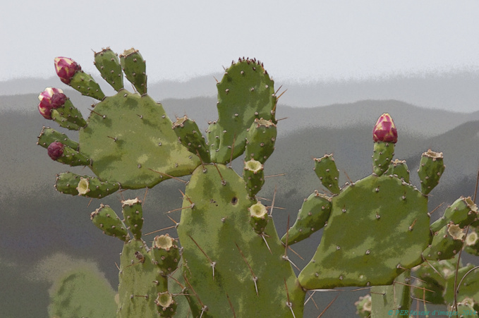 Troglos news ! Troglos news !