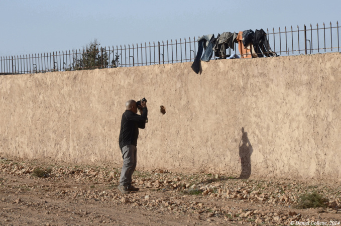 Troglos news ! Troglos news !