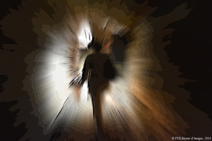 Trogloscope du 23 juillet Trogloscope du 23 juillet