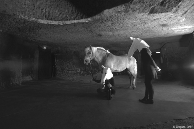 Cheval en douceur Cheval en douceur