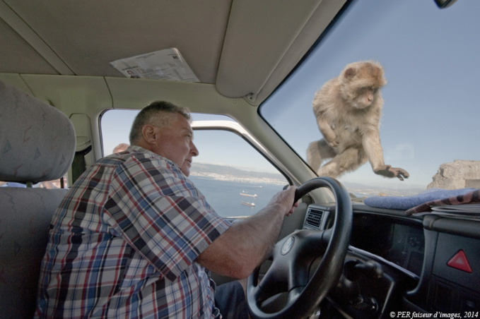 Edito des Trogs Edito des Trogs