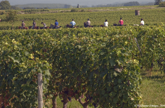 L’Echo des troglos L’Echo des troglos