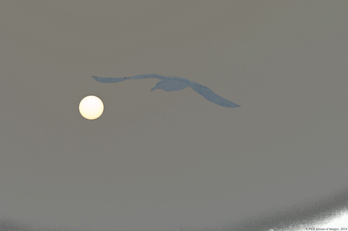 Le JdT du 19 septembre Le JdT du 19 septembre