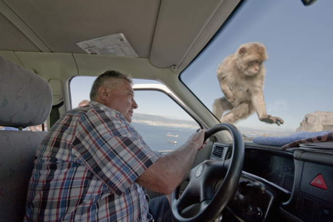 Les dessous de Gibraltar (1) Les dessous de Gibraltar (1)