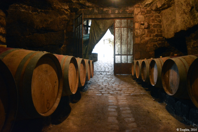 Matthieu Vallée, vigneron bio Matthieu Vallée, vigneron bio