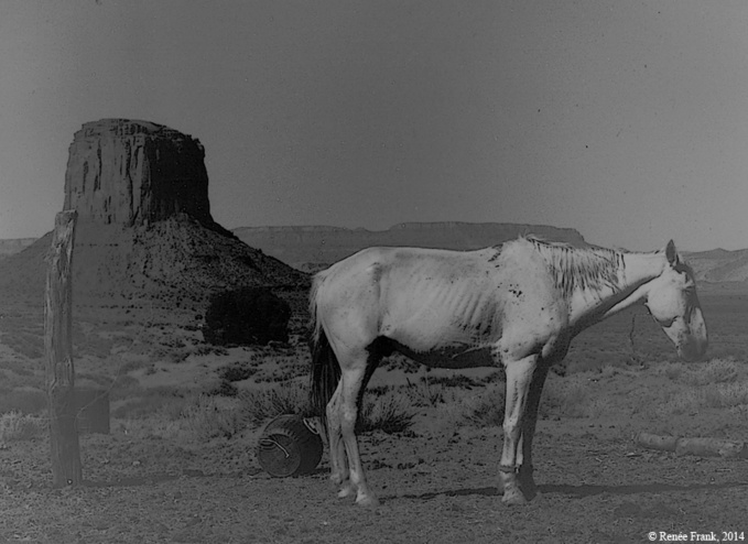 Souvenirs du Colorado... Souvenirs du Colorado...