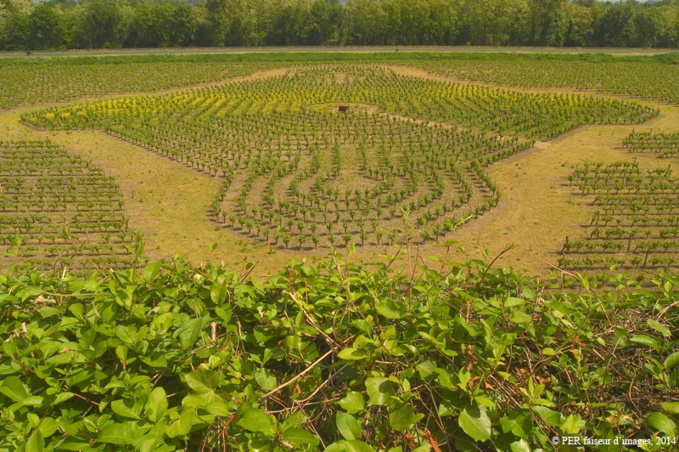 Troglos et vins Troglos et vins