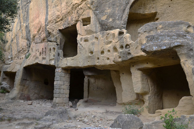 Troglos, cap au Sud! Troglos, cap au Sud!