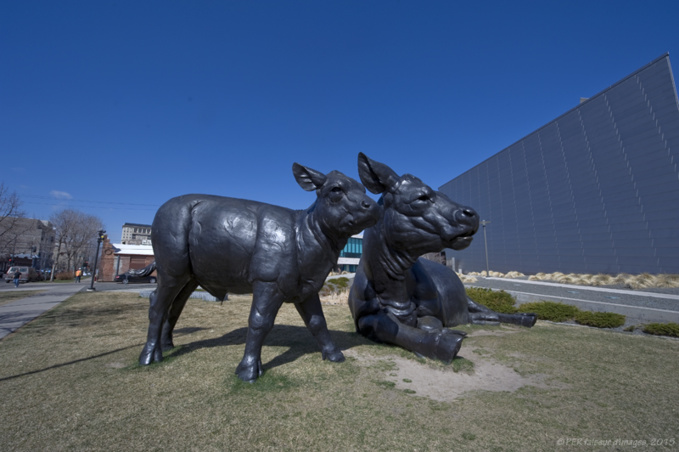 Denver, Colorado Denver, Colorado