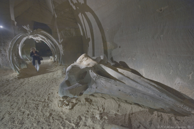 Le Mystère des faluns, deuxième partie Le Mystère des faluns, deuxième partie