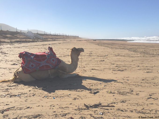 Troglonautes weather reports Troglonautes weather reports