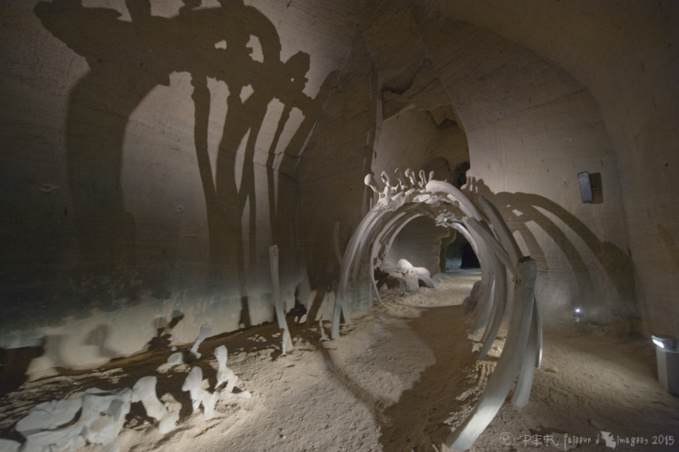 Troglonews du week-end Troglonews du week-end