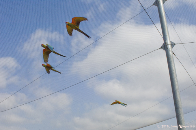 Le Gay savoir Le Gay savoir