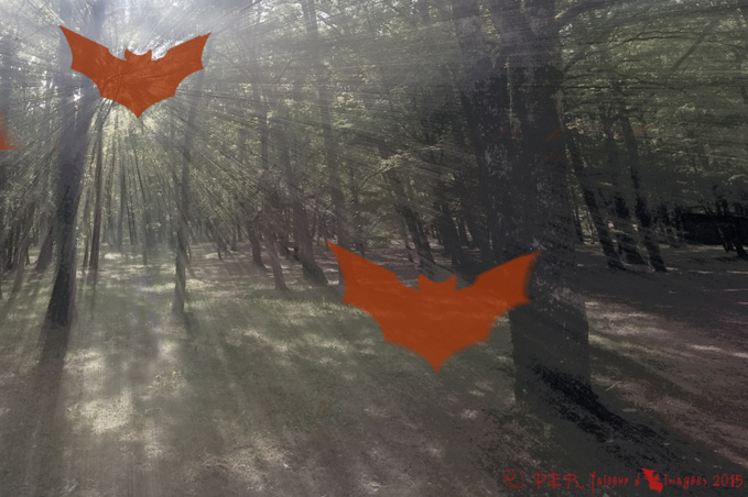 A moi, Comte, deux mots A moi, Comte, deux mots