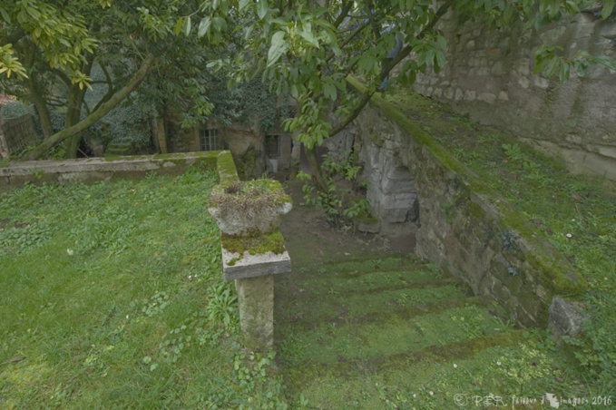 La troglo – passion selon M. Trog (1) La troglo – passion selon M. Trog (1)