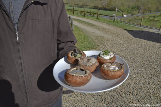 Une nouvelle griffe, au Saut au Loups Une nouvelle griffe, au Saut au Loups