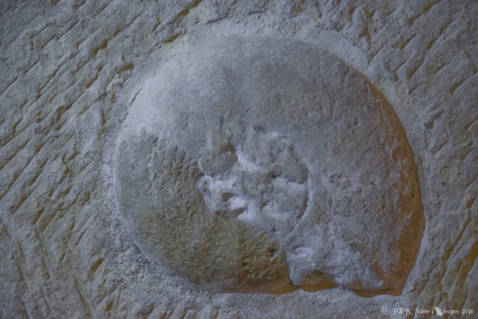 Une nouvelle griffe, au Saut au Loups Une nouvelle griffe, au Saut au Loups