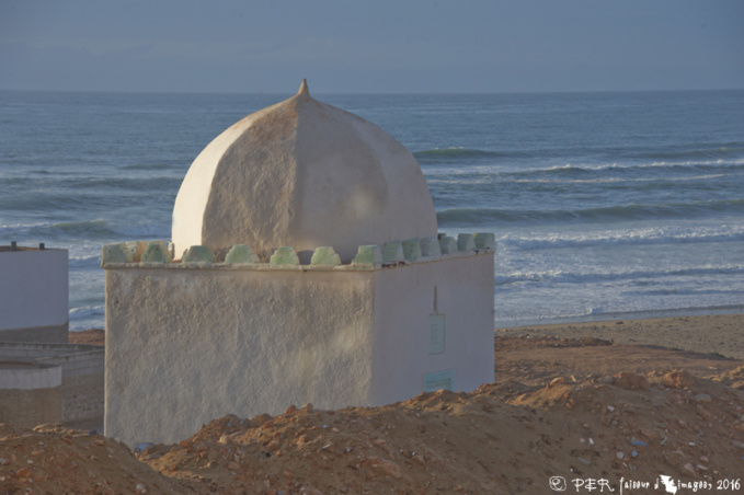 Le Maroc, selon les Trogs, 2016 Le Maroc, selon les Trogs, 2016