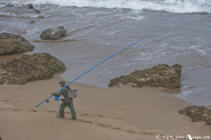 Le Maroc, selon les Trogs, 2016 Le Maroc, selon les Trogs, 2016