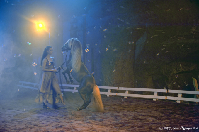 Bain de fraicheur chez Ackerman Bain de fraicheur chez Ackerman