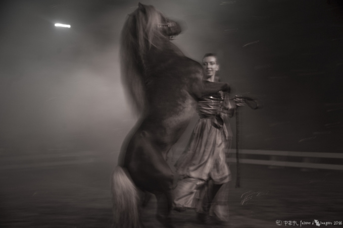 Bain de fraicheur chez Ackerman Bain de fraicheur chez Ackerman