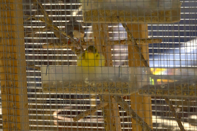 Isla Gran Canaria Isla Gran Canaria