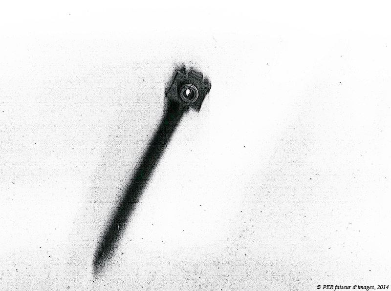 Le JdT du 24 janvier