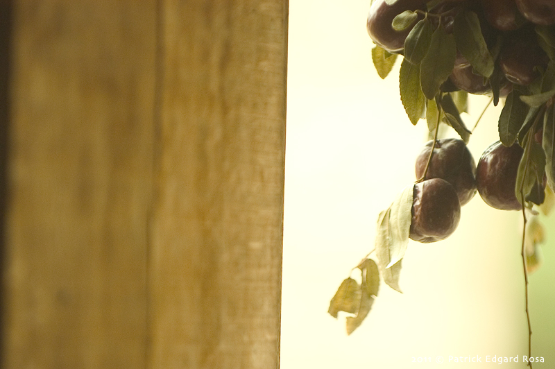 0 3 jujubes par jour, l'éternité.jpg