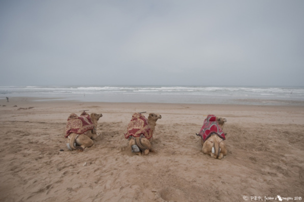 Les options et services proposés aux grottes Troglos Sud Maroc Les options et services proposés aux grottes Troglos Sud Maroc