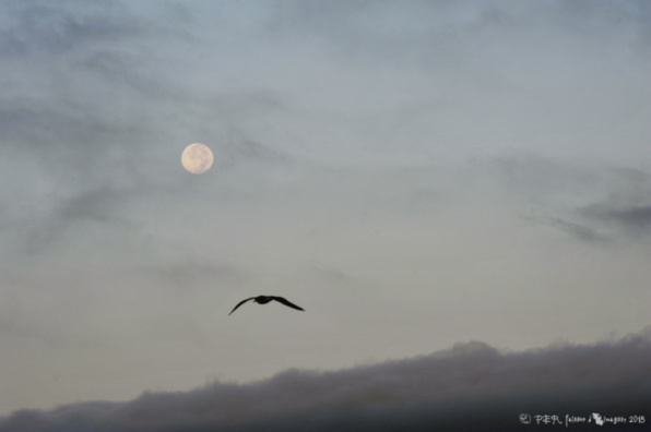 Accès aux grottes Troglos Sud Maroc Accès aux grottes Troglos Sud Maroc