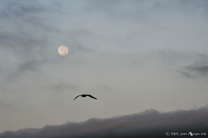 Accès aux grottes Troglos Sud Maroc Accès aux grottes Troglos Sud Maroc